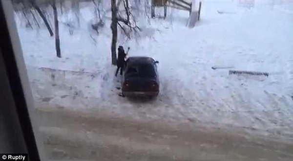 2531852100000578-0-image-a-96_1422632179168