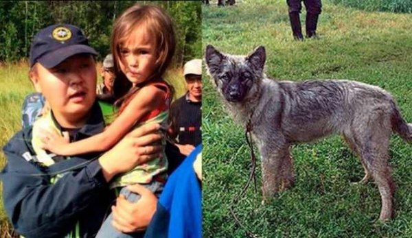 Siberia-girl-survives-11-days-puppy-665x385